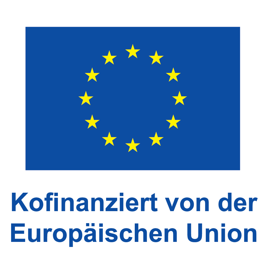 EU flag